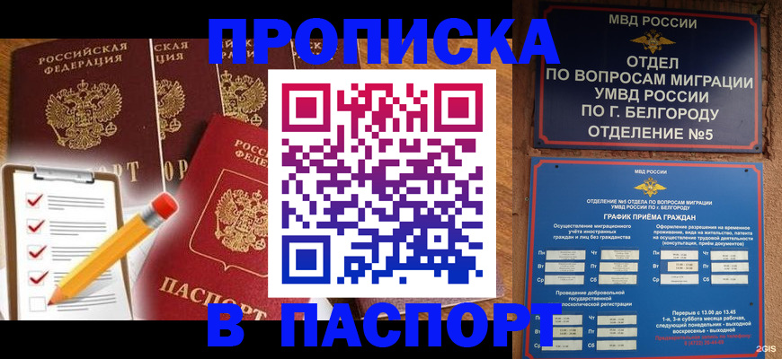 прописка 2025 в Невельске